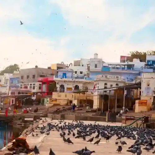 jaipur-ajmer-pushkar